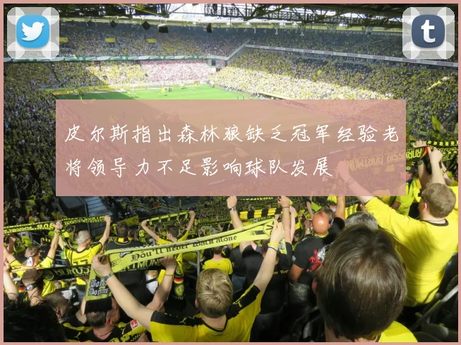 皮尔斯指出森林狼缺乏冠军经验老将领导力不足影响球队发展